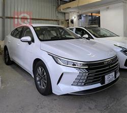 BYD Destroyer 05